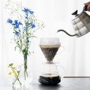 V60 Drip-Assist