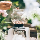 Tea Dripper LARGO 800ml