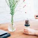 Coffee Mill "Smart G" 24g clear