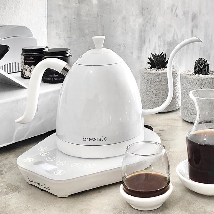 Brewista Artisan 1.0L Gooseneck Variable Kettle - White/White
